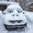 Winter Car